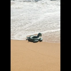 Anneau de natation PHOEBE Tortue
