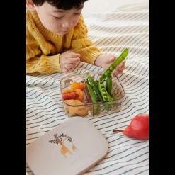Boîte à Déjeuner ARTHUR en Tritan