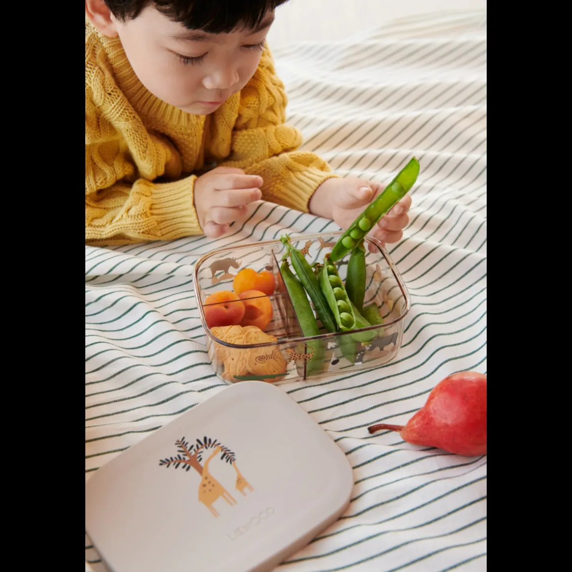 Boîte à Déjeuner ARTHUR en Tritan
