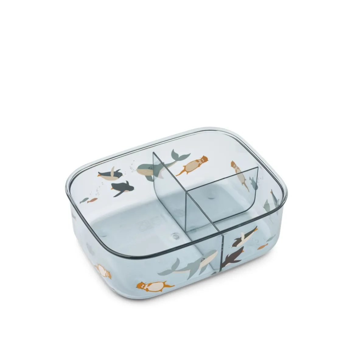 Boîte à Déjeuner ARTHUR en Tritan