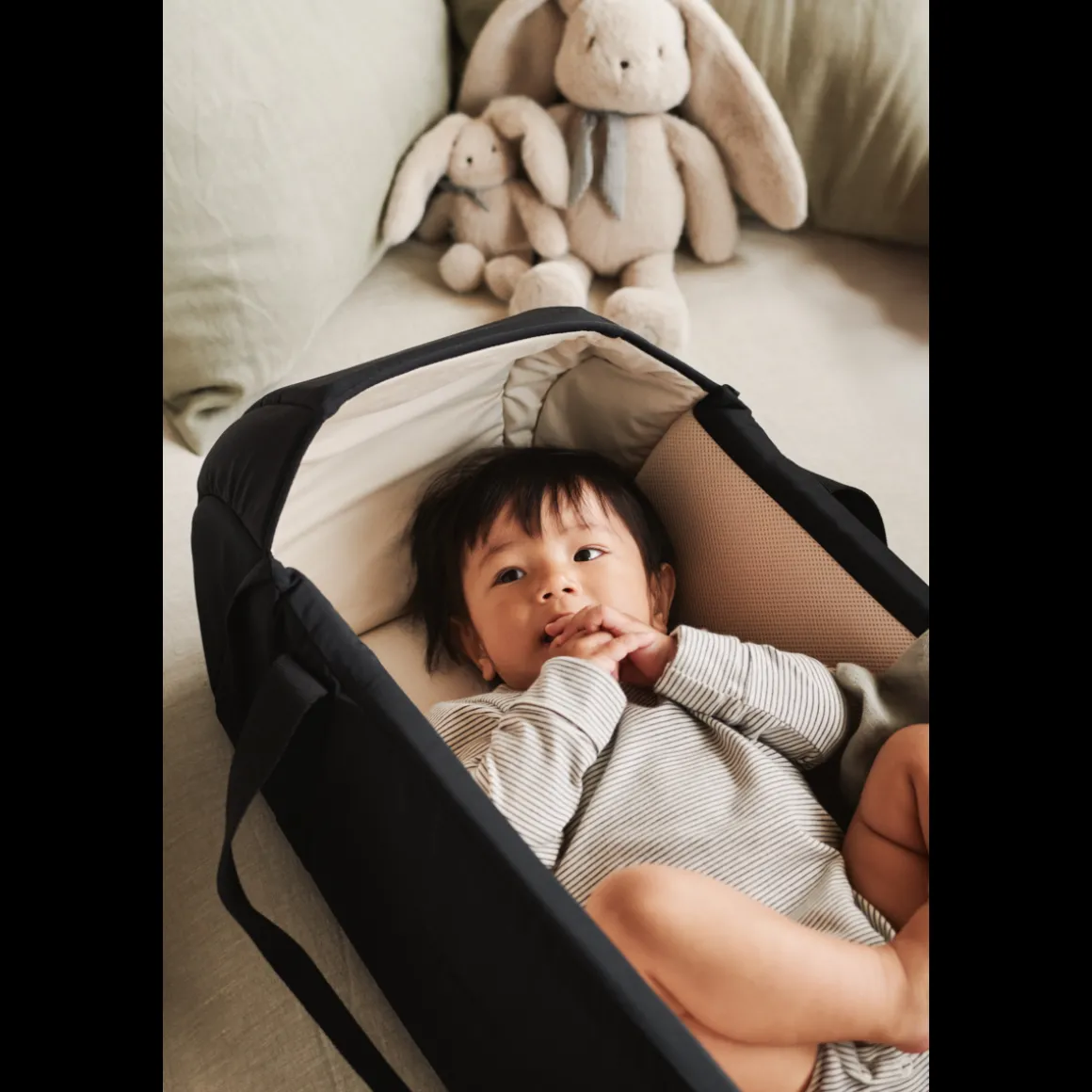 Nid bébé Amber