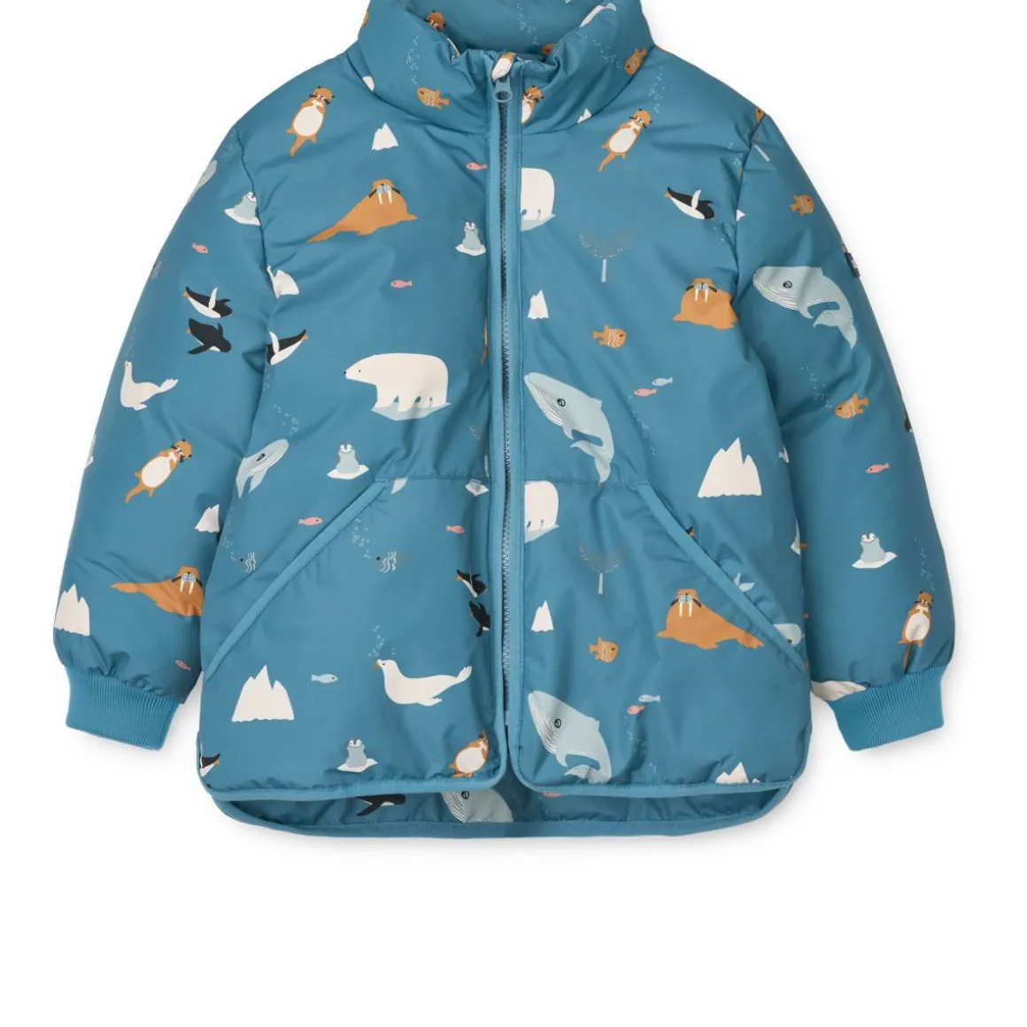 Veste BRANTLEY