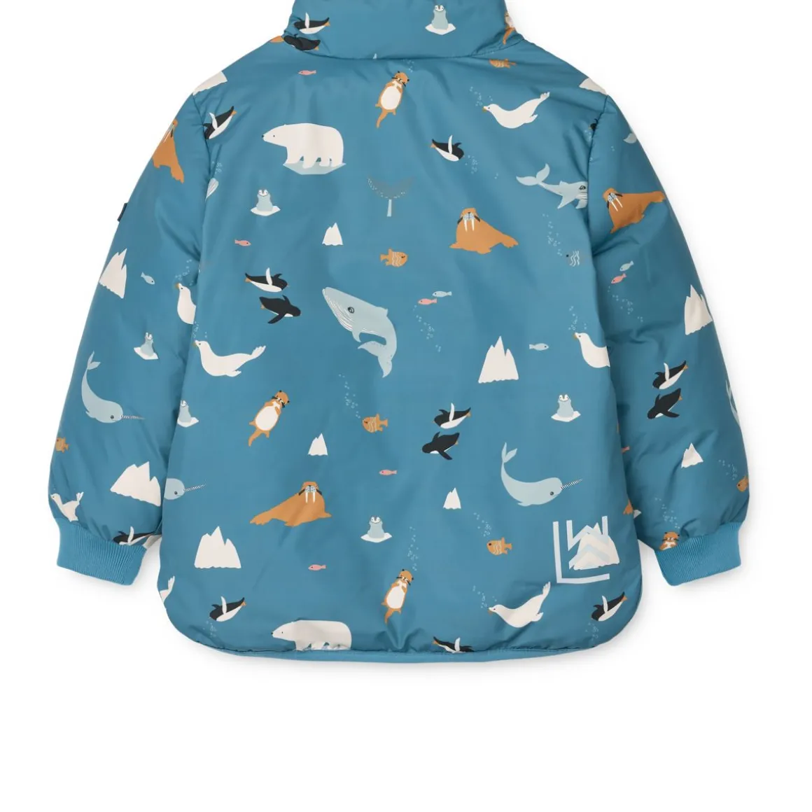 Veste BRANTLEY